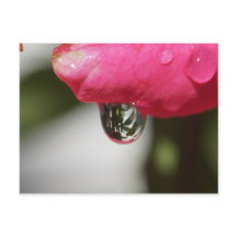 眺めと上がりました