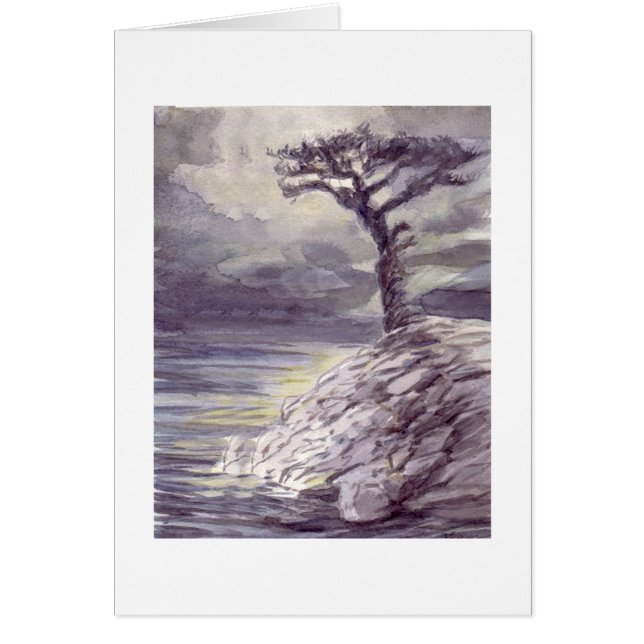 眺めの木 (正面)