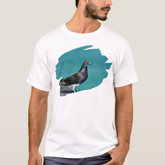 眺めの良い鳩 Tシャツ (正面)