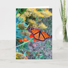 眺めの良カラフルいフローラと蝶 カード