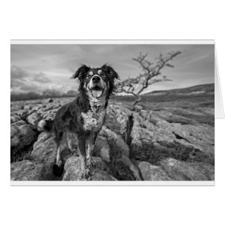 眺望のボーダー