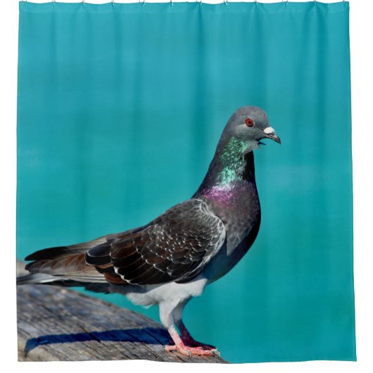 眺望を楽しむ鳩 シャワーカーテン (正面)