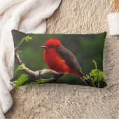 眼と目の腰枕 ランバークッション (ブランケット)