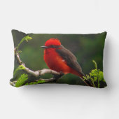 眼と目の腰枕 ランバークッション (正面)