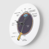 眼の解剖学壁時計 ラージ壁時計 (傾斜)