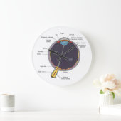 眼の解剖学壁時計 ラージ壁時計 (ホーム)