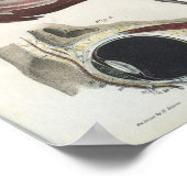 眼ヴィンテージ構造プリント ポスター (角)