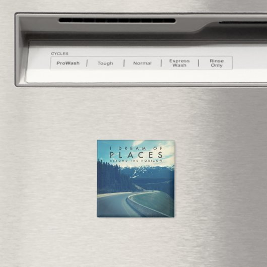 眼下の処を夢見る マグネット (インサイチュ (食洗機))