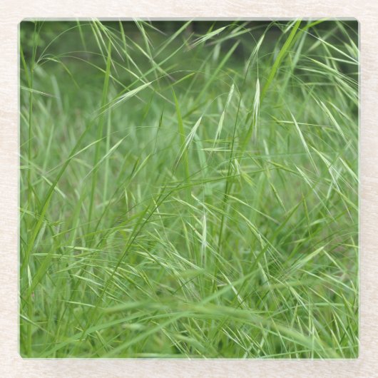 眼振 ガラスコースター (正面)