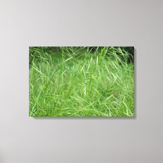 眼振 キャンバスプリント (正面)