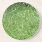 眼振 コースター (正面)