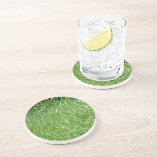 眼振 コースター (側面)