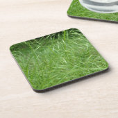 眼振 コースター (左側)