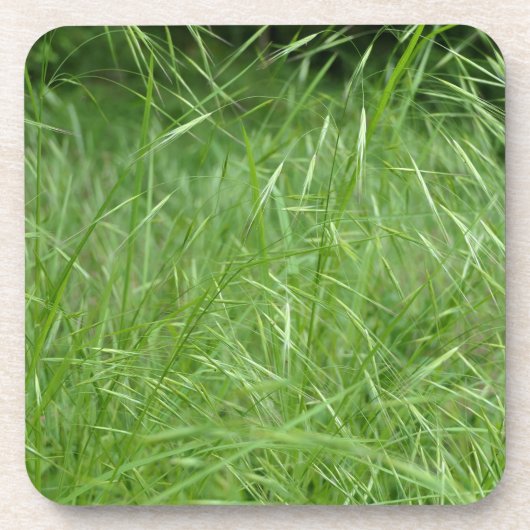 眼振 コースター (正面)