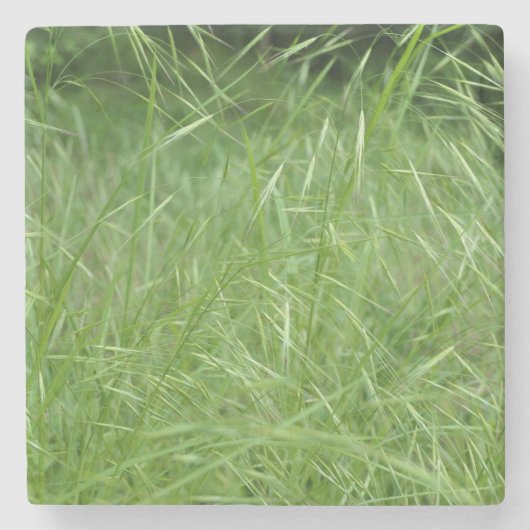 眼振 ストーンコースター (正面)