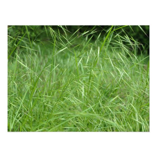 眼振 フォトプリント            (正面)