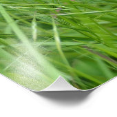 眼振 フォトプリント            (角)