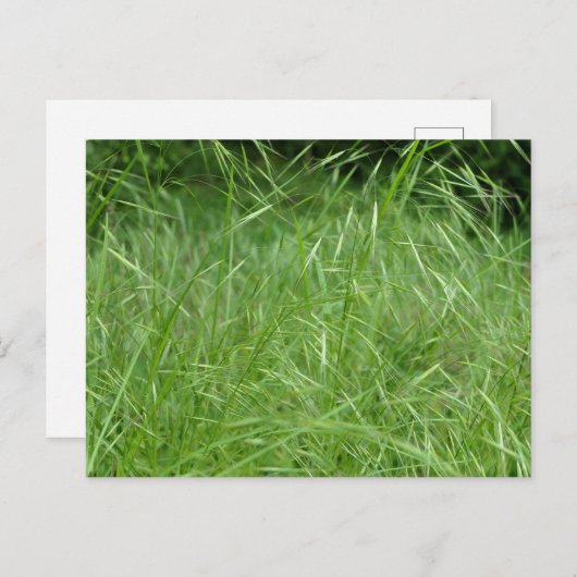 眼振 ポストカード (正面/裏面)