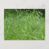 眼振 ポストカード (正面)