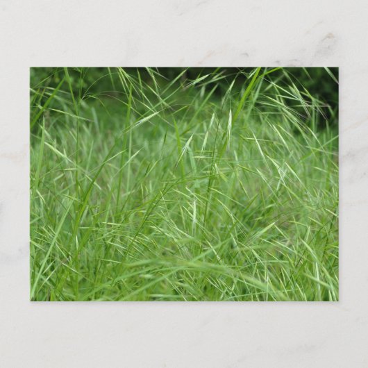 眼振 ポストカード (正面)