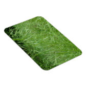 眼振 マグネット (右側)