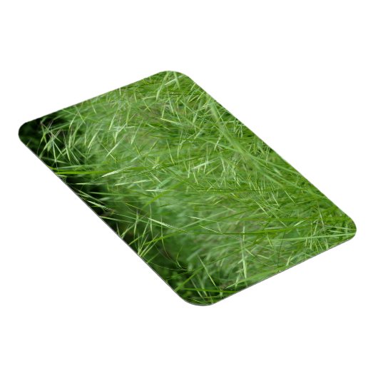 眼振 マグネット (右側)