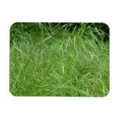 眼振 マグネット (横)