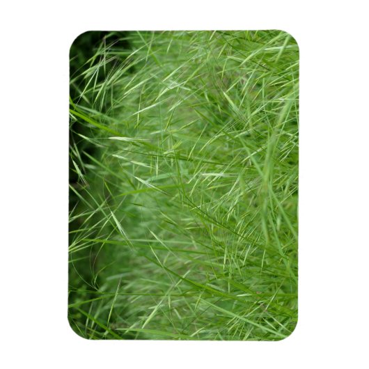 眼振 マグネット (縦)