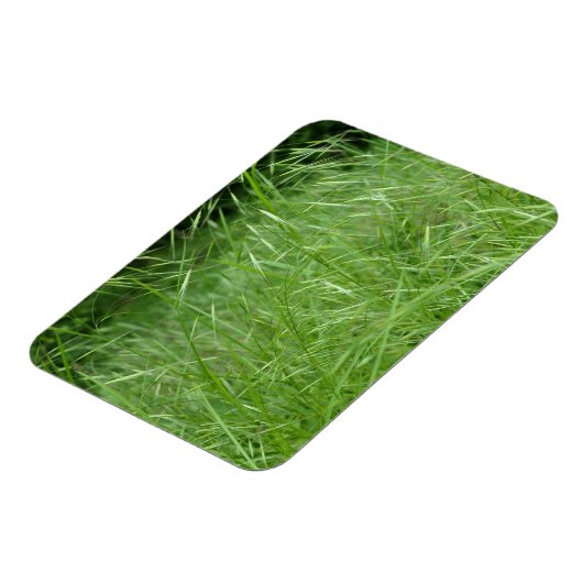 眼振 マグネット (左側)