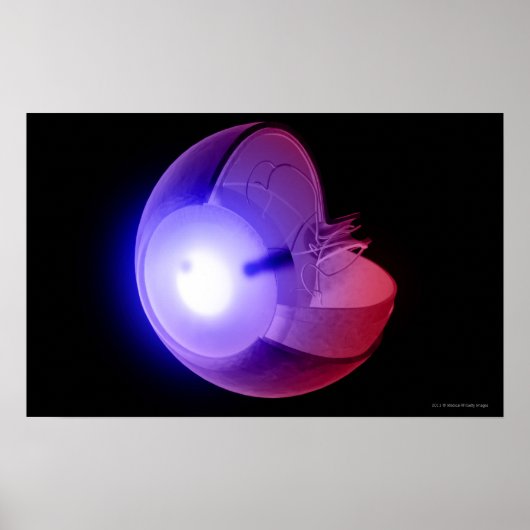 眼構造の表示 ポスター (正面)