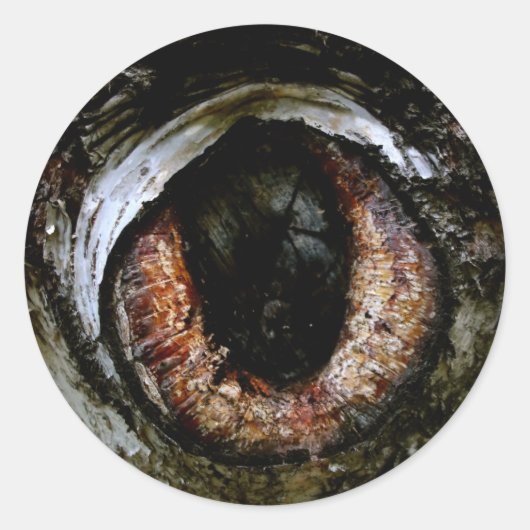 眼球シール ラウンドシール (正面)