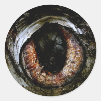 眼球シール ラウンドシール