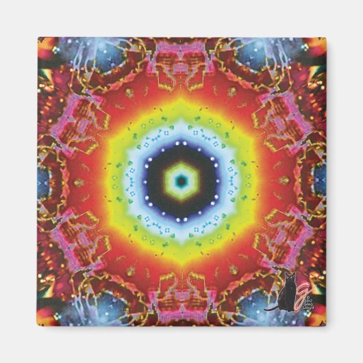 眼球万華鏡のように千変万化するパターン磁石 マグネット (正面)