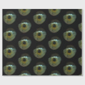 眼球包み紙 ラッピングペーパー (フラット)