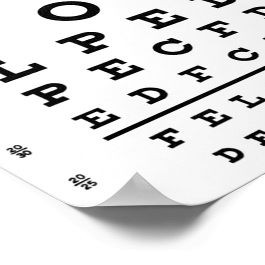 眼球図 ポスター (角)