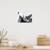 眼球 ポスター (キッチン)