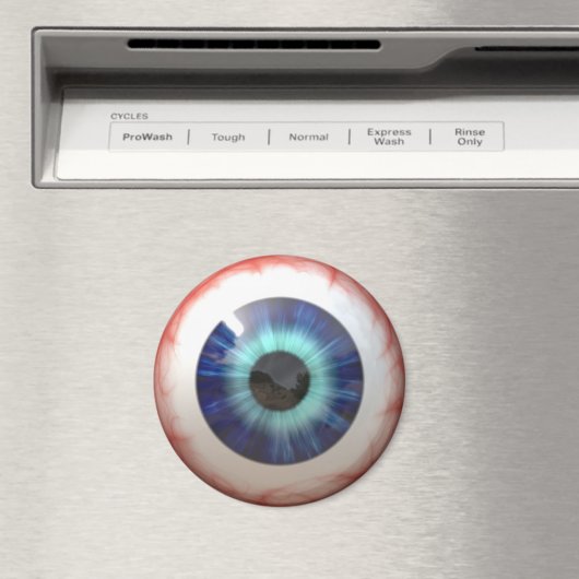 眼球 マグネット (インサイチュ (食洗機))