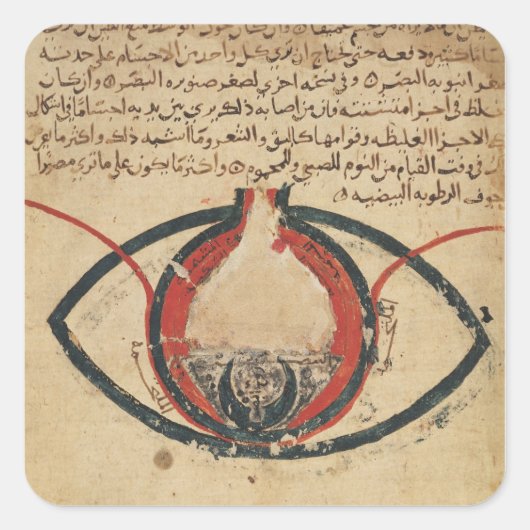 眼疾患に関する本からの眼の解剖学 スクエアシール (正面)