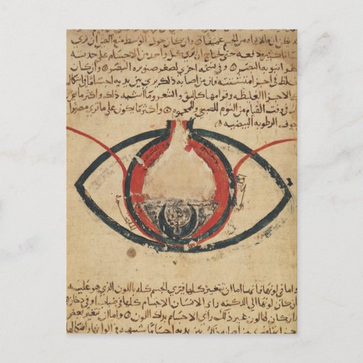 眼疾患に関する本からの眼の解剖学 ポストカード (正面)