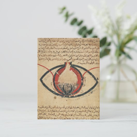 眼疾患に関する本からの眼の解剖学 ポストカード (スタンド正面)