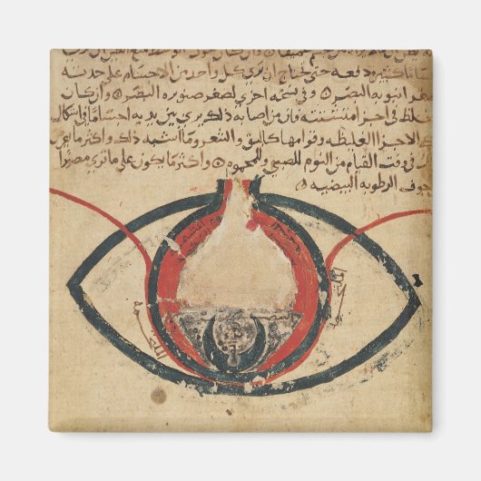 眼疾患に関する本からの眼の解剖学 マグネット (正面)