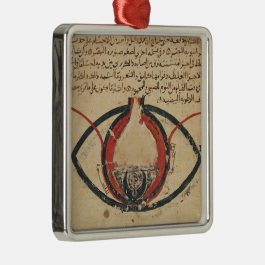 眼疾患の本からの目の解剖学、 メタルオーナメント (右)