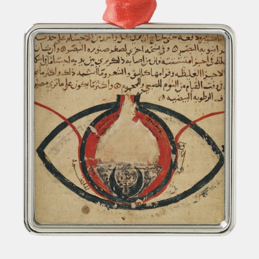 眼疾患の本からの目の解剖学、 メタルオーナメント (正面)