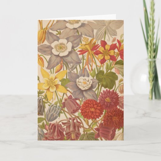 眼痛症 | ジョージ・ニコルソン カード (正面)