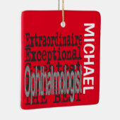 眼科医カスタム異常 セラミックオーナメント (右)