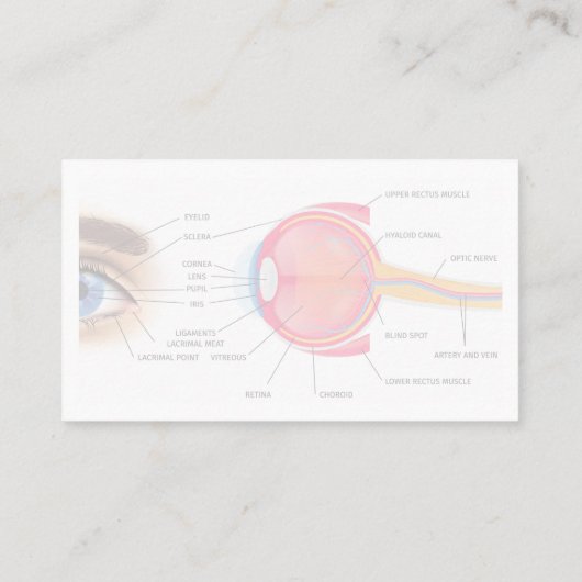 眼科医気に眼服店 名刺 (裏面)