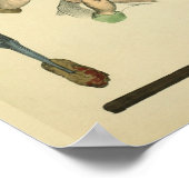 眼科外科プリント ポスター (角)