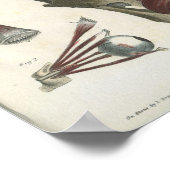 眼筋とスカル解剖学プリント ポスター (角)