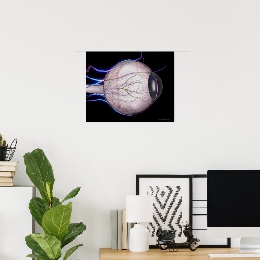 眼血管 ポスター (ホームオフィス)