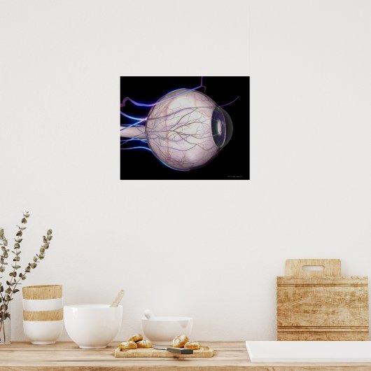 眼血管 ポスター (キッチン)